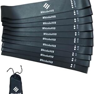 Resistance Loop Exercise Bands-5/10 Pack-10/12 Inch Stretch Bands for Working Out with Carry Bag-Elastic Bands for Physical Therapy, Rehab, Yoga, Pilates and Strength Training at Home or Gym