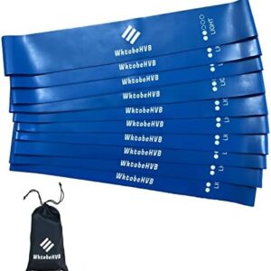 Resistance Loop Exercise Bands-5/10 Pack-10/12 Inch Stretch Bands for Working Out with Carry Bag-Elastic Bands for Physical Therapy, Rehab, Yoga, Pilates and Strength Training at Home or Gym